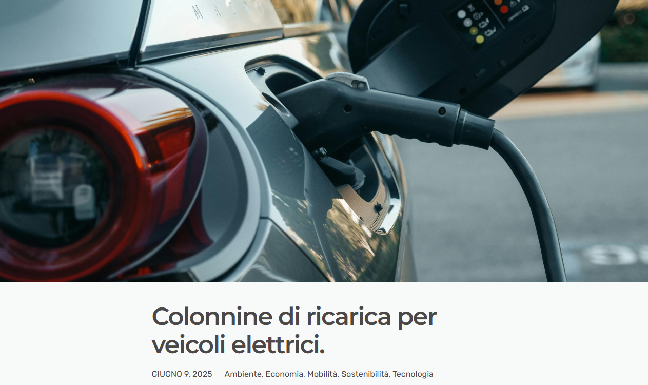 Screenshot dell'articolo su danielacolmenares.it